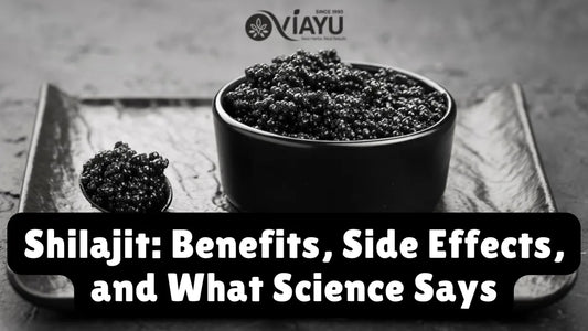 Shilajit: Benefits, Side Effects, and What Science Says