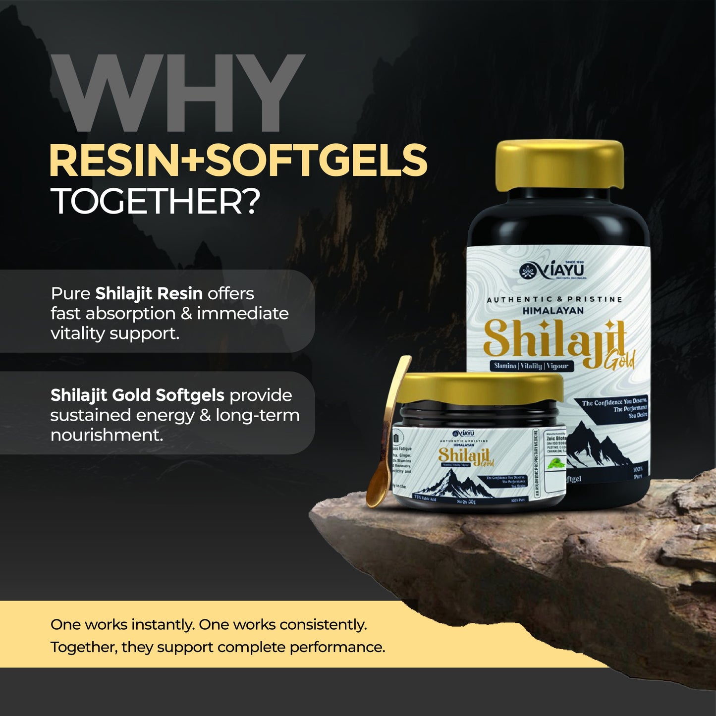 Viayu Shilajit Gold Combo