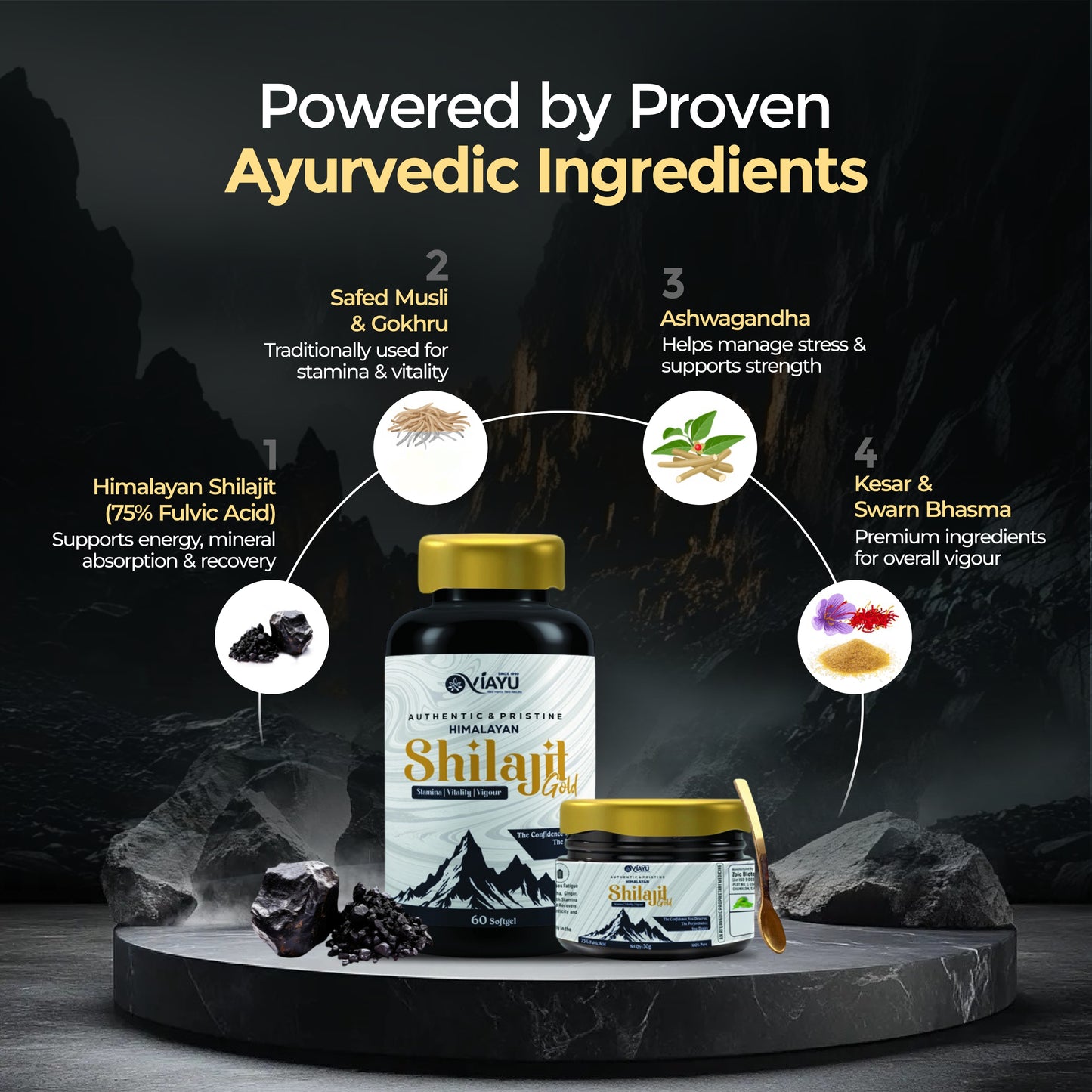 Viayu Shilajit Gold Combo